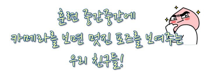 84a9af02ea9ac00fa714992a88ea0365.PNG